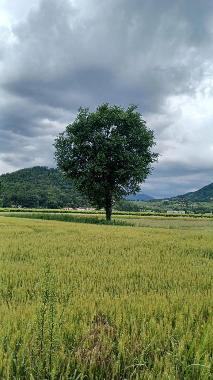 Appartamento Casa Vacanza Abano Terme Euganean Hills Holiday Teolo 外观 照片