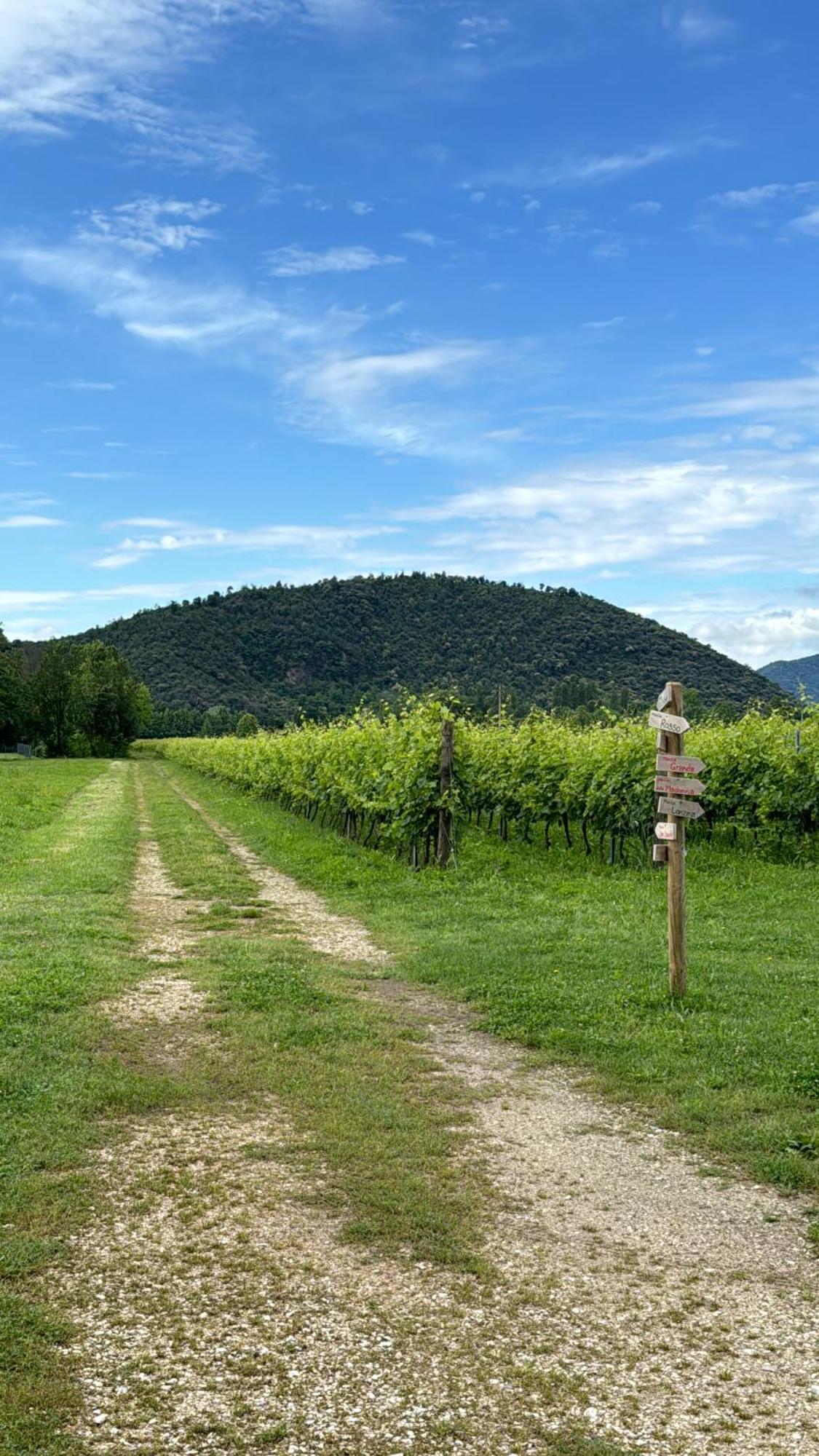 Appartamento Casa Vacanza Abano Terme Euganean Hills Holiday Teolo 外观 照片